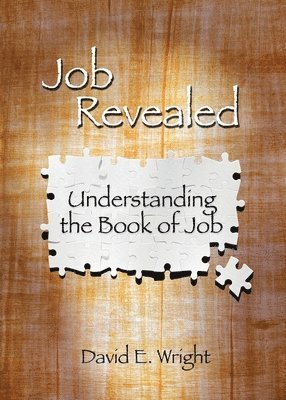 bokomslag Job Revealed