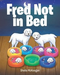 bokomslag Fred Not in Bed