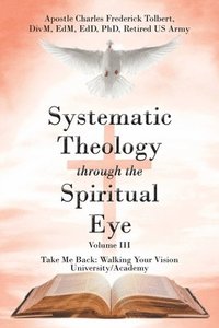 bokomslag Systematic Theology through the Spiritual Eye Volume III