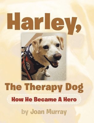 Harley, the Therapy Dog 1