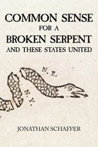 bokomslag Common Sense for a Broken Serpent and These States United
