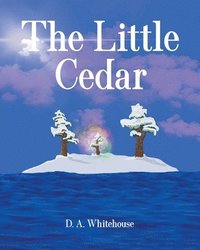 bokomslag Little Cedar