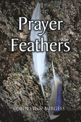 bokomslag Prayer Feathers