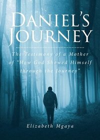 bokomslag Daniel's Journey