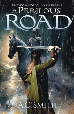 bokomslag Perilous Road