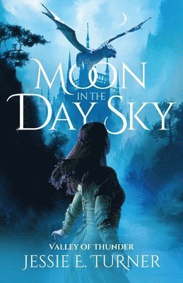 Moon in the Day Sky 1