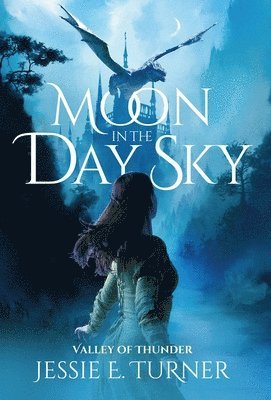Moon in the Day Sky 1