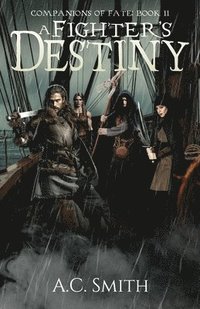 bokomslag Fighter's Destiny