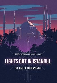 bokomslag Lights Out in Istanbul