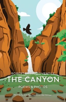 bokomslag The Canyon