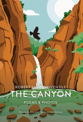 bokomslag Canyon