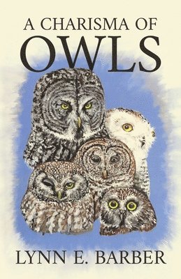 Lynn E Barber - Charisma of Owls, Häftad