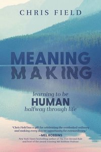 bokomslag Meaning Making: Learning to Be Human Halfway Through Life