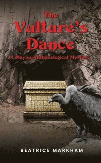 bokomslag Vulture's Dance