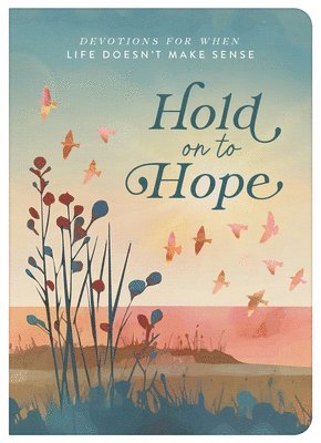 Sheila Thomas - Hold on to Hope: Devotions for When Life Doesn't Make Sense, Häftad