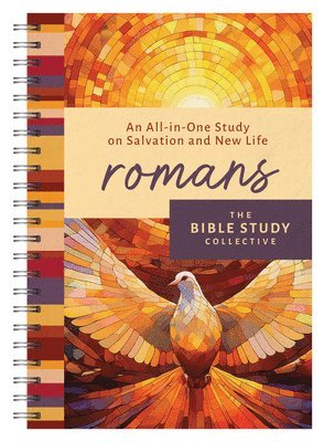 bokomslag Romans: An All-In-One Study on Salvation and New Life