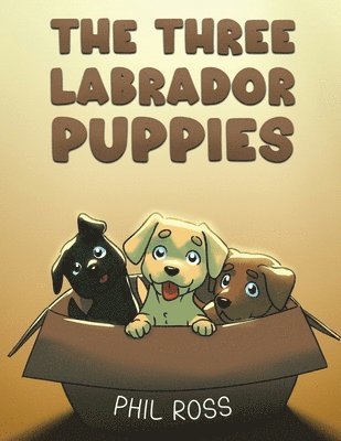 bokomslag Three Labrador Puppies