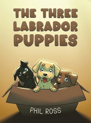 Phil Ross - Three Labrador Puppies, Inbunden
