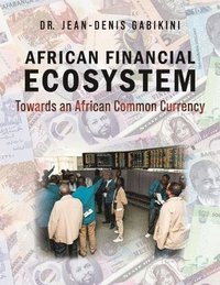 bokomslag African Financial Ecosystem