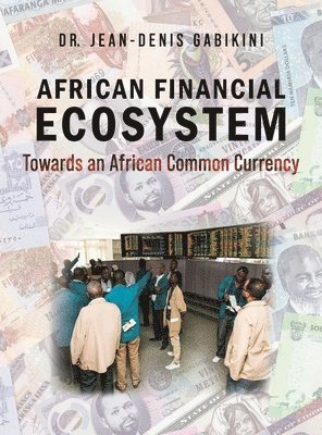 bokomslag African Financial Ecosystem