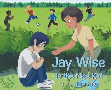 bokomslag Jay Wise Is the Nice Kid