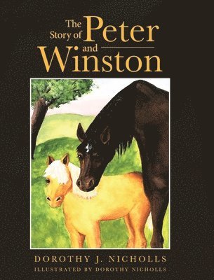 bokomslag Story of Peter and Winston