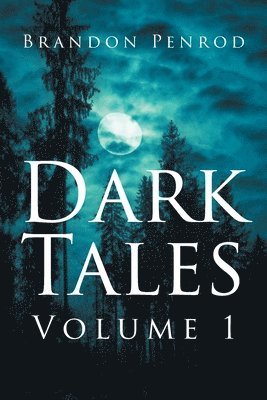 bokomslag Dark Tales