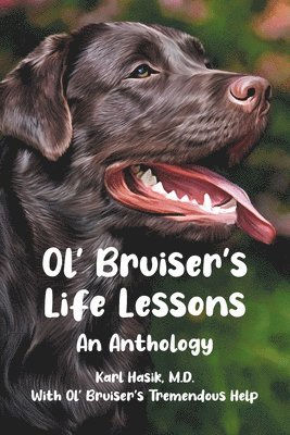 bokomslag Ol' Bruiser's Life Lessons