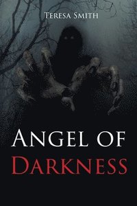 bokomslag Angel of Darkness