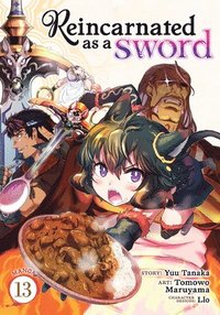 bokomslag Reincarnated as a Sword (Manga) Vol. 13