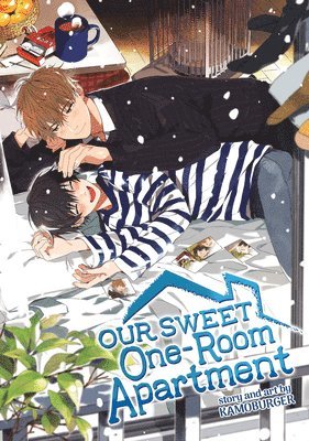 Our Sweet One-Room Apartment 1