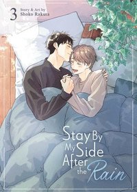 bokomslag Stay By My Side After The Rain Vol. 3