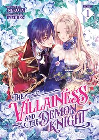 bokomslag Villainess and the Demon Knight (Light Novel) Vol. 1