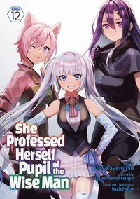 bokomslag She Professed Herself Pupil of the Wise Man (Manga) Vol. 12