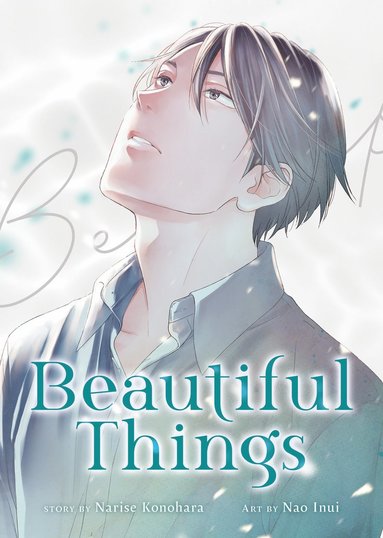 bokomslag Beautiful Things: The Complete Manga Collection