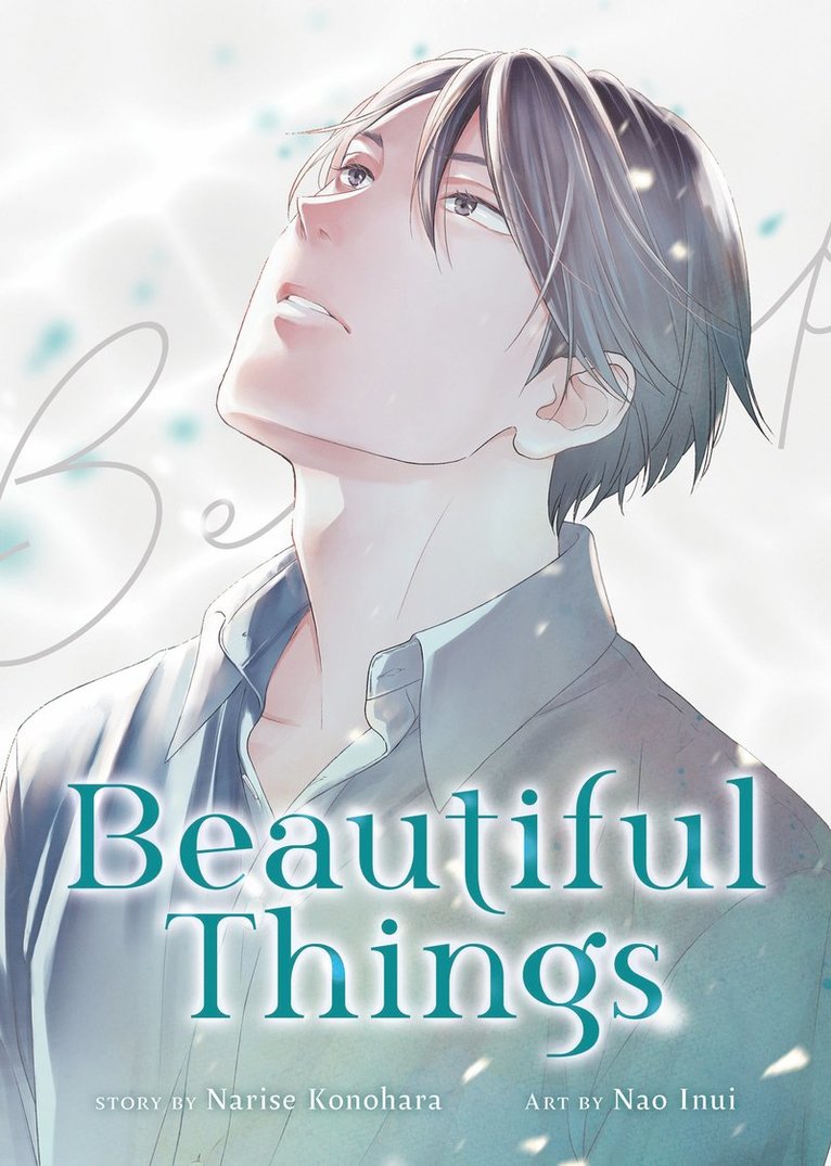 Beautiful Things: The Complete Manga Collection 1