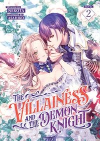 bokomslag Villainess and the Demon Knight (Light Novel) Vol. 2