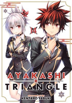 bokomslag Ayakashi Triangle Vol. 14