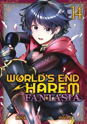 World's End Harem: Fantasia Vol. 14 1