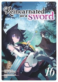 bokomslag Reincarnated as a Sword (Light Novel) Vol. 16