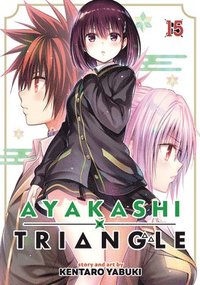 bokomslag Ayakashi Triangle Vol. 15