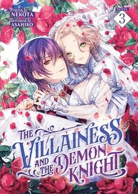 bokomslag Villainess and the Demon Knight (Light Novel) Vol. 3