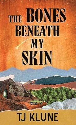 The Bones Beneath My Skin 1