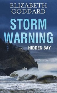 bokomslag Storm Warning: Hidden Bay