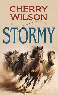 bokomslag Stormy