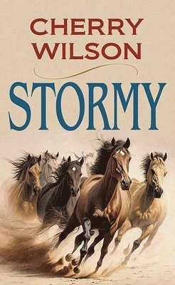 bokomslag Stormy