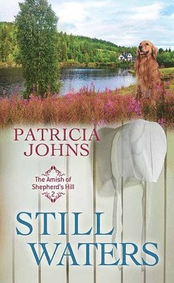 bokomslag Still Waters: The Amish of Shepherd's Hill