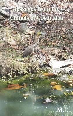 Messages from the Animals of Costa Rica 1