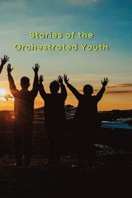 Ethan James, ethan james - Stories of the Orchestrated Youth, Häftad