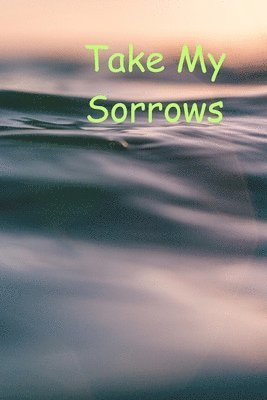 Jennifar Amy, jennifar amy - Take My Sorrows, Häftad